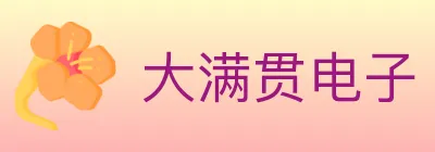 大满贯电子 logo